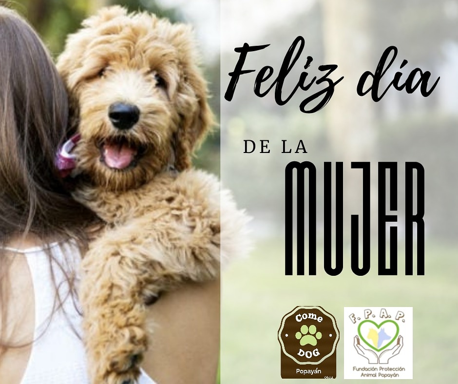 🐾🐾Mujeres que aman , respetan, rescatan, adoptan y nos ayudan a ayudar a los animales FELIZ DÍA hoy mañana y siempre!!!💞👩‍🚒👩‍🎨👸👩‍🦳🤱🙋‍♀️🤾‍♀️🤼‍♀️