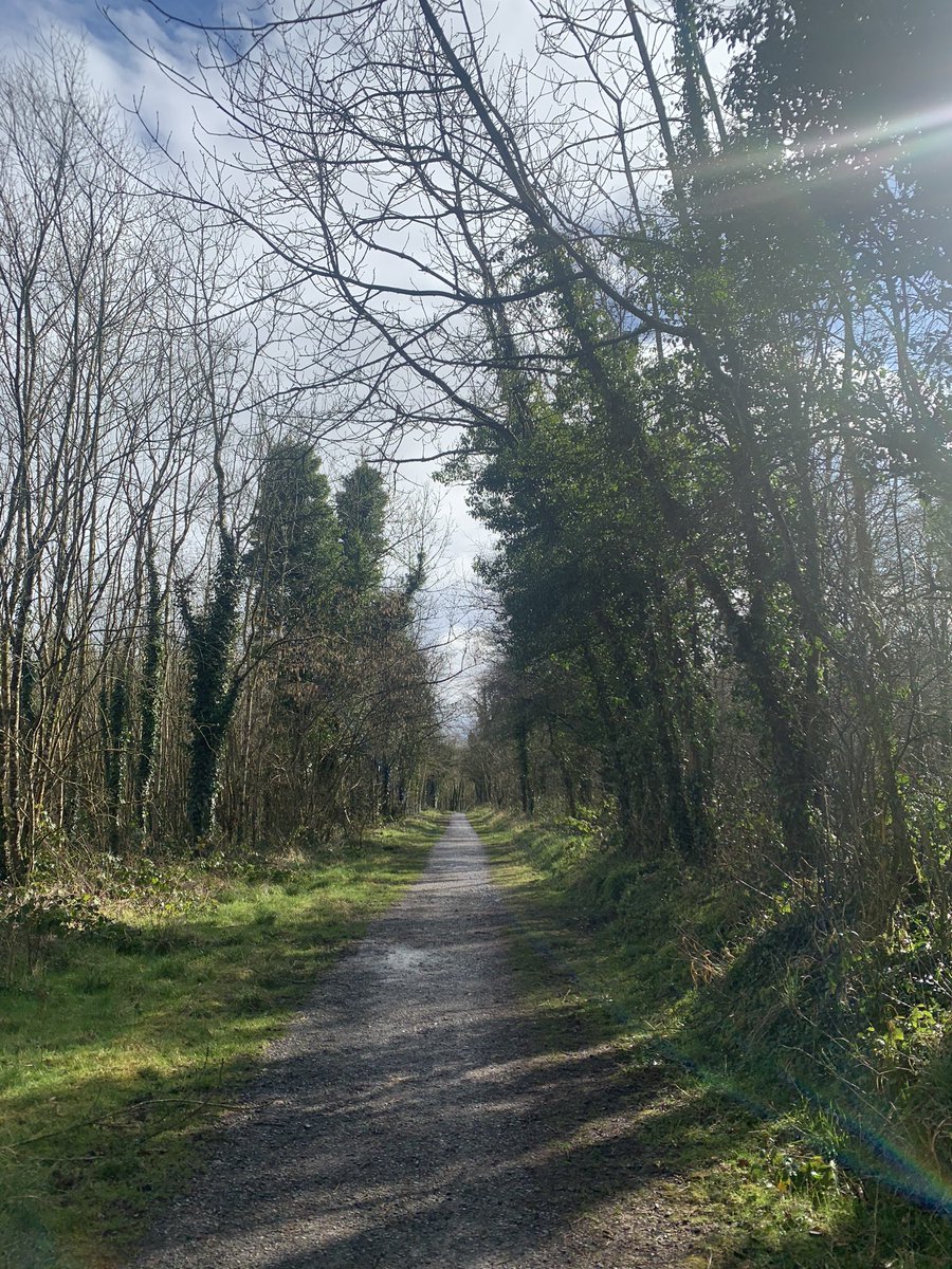 Another beautiful day for a stroll - first time here #jenkinstowngardens #spingisfinallyhere #freshairfreshmind