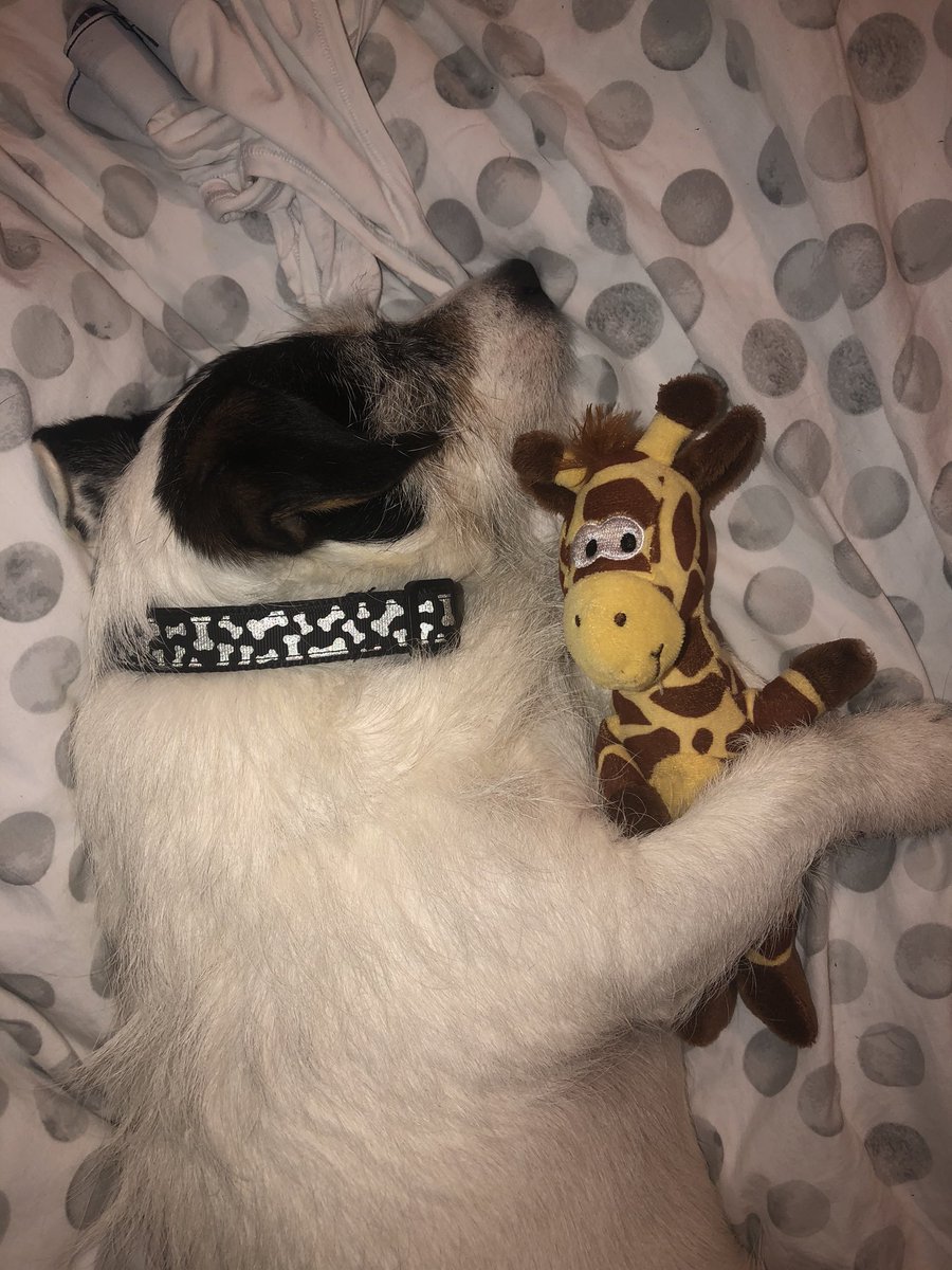 Georgia 🤍 tweet media