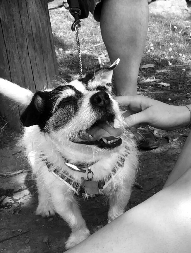 Georgia 🤍 tweet media