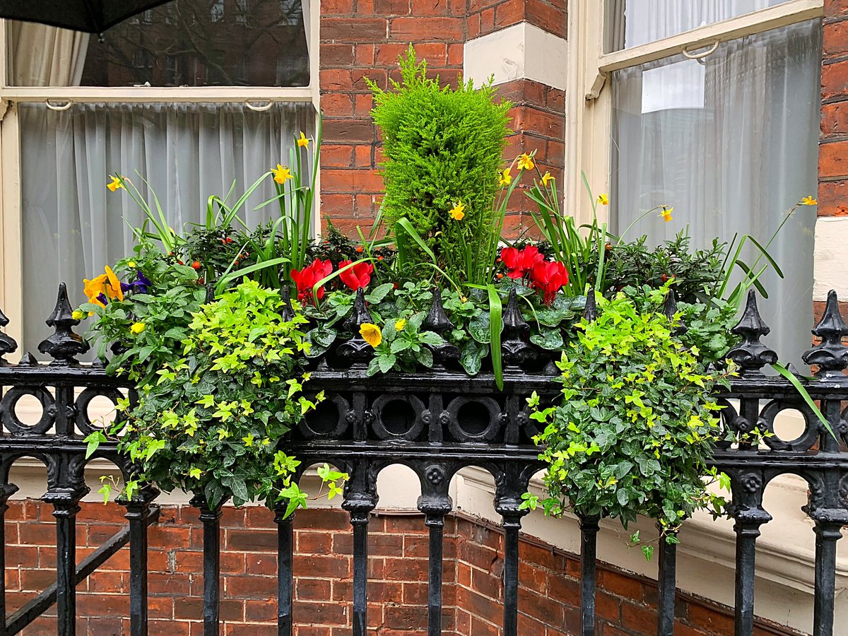 garthomas78's tweet photo. As you will soon discover, Iโm on a long than normal train journey from Paddington to Cardiff. No one is talking, pure silence. Everyone has their heads down and not making eye contact. Itโs very grim. However...there is nothing like a well presented window box... #welcometo41 https://t.co/eBZAzT6AJE