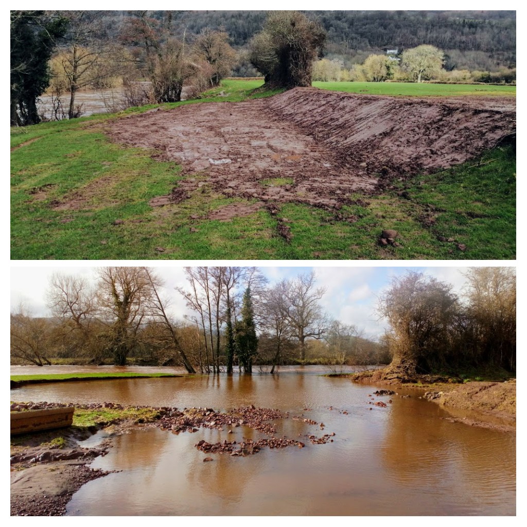 What a difference a week makes. A flood defence at Llanwenarth completely destroyed by #stormdennis and rebuilt by @AlunGriffiths_ thanks to a collaborative approach between @MonmouthshireCC @WelshGovernment and @NatResWales. Huge amounts still to do across the County though.