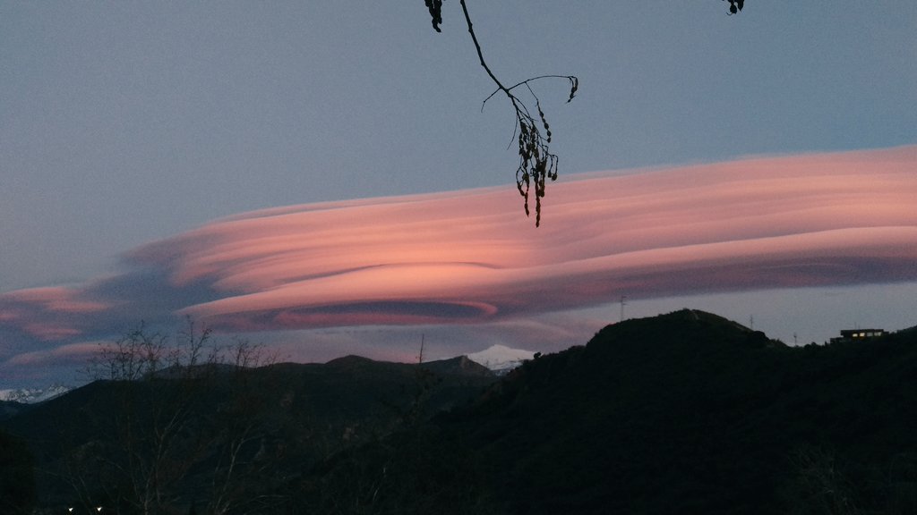 Maestro $∆π®T tweet media