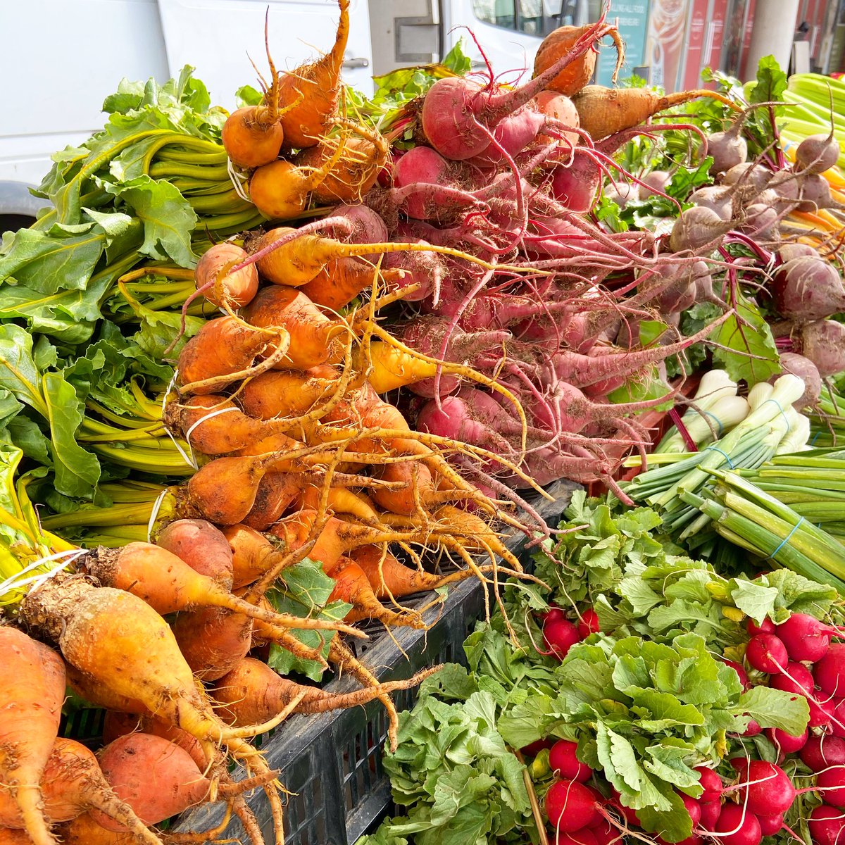 Stock up on some root vegetables in today such as these beets and radishes from Swank Farms. You’ll also find carrots and turnips at the farmers market today. 🥕