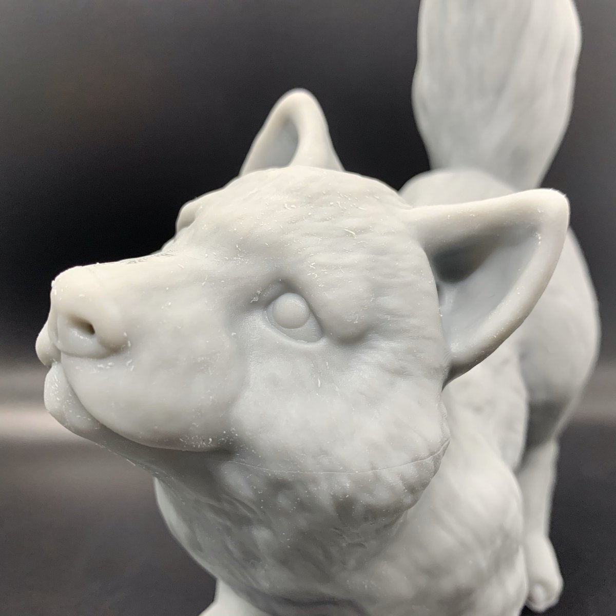 crussty's tweet photo. So how about we try a new thing... how about #SuperSizeSunday????
I went @mypeopoly Phenom BIG on @loubie_3Dβs adorable Wolfie model in @SirayaTech Fast grey.
Sorry, got hungry and ate the π for breakfast... https://t.co/MvMiQjKkoR