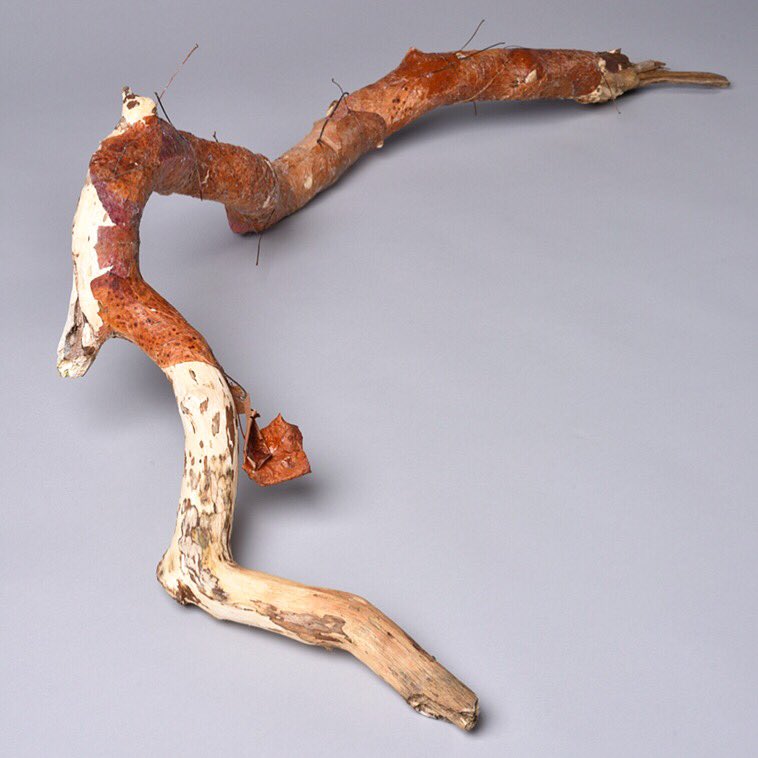 fionasculpture's tweet photo. About Trees - an #exhibition coming soon at Heritage Courtyard #Gallery, #Wells #Somerset. Happy to be showing some work in this #groupshow #artexhibition #trees #abouttrees #naturalworld #artists #visualarts #sculpture #drawing https://t.co/X5AK2BrpQw