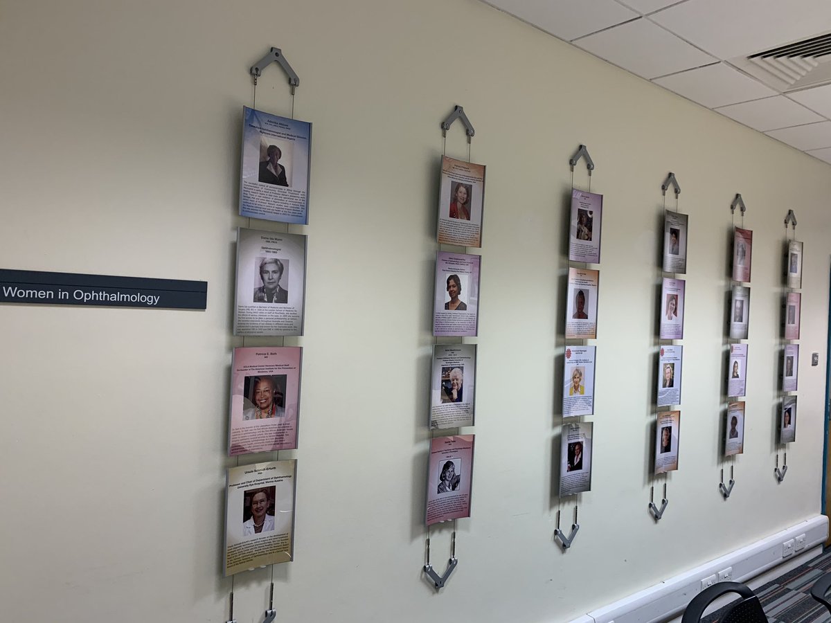 UCLeye's tweet photo. Visionary Women. 
#HappyWomensDay2020 to all the amazing women who have contributed, are contributing and will contribute so remarkably to the field of Ophthalmology. 

📸Snapshot of some notable women within a permanent fixture in our ‘Marcelle Jay’ room at the Institute https://t.co/89xISGrfqw
