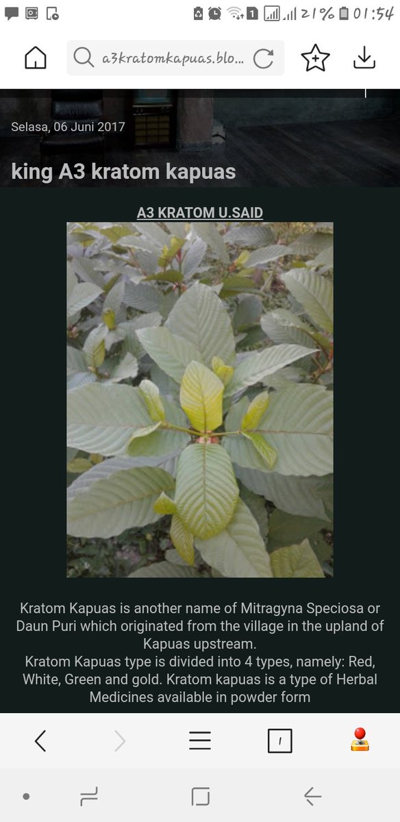 KratomRonie's tweet photo. https://t.co/CbwUAQhvIN https://t.co/I45Ar2h7Cg
