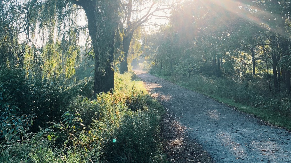 It's Daylight Savings Time! That means more light to your day. Enjoy the extra daylight by heading south and walking one of the many trails that the Stark Parks has to offer!  #beausontheriver #starkparks