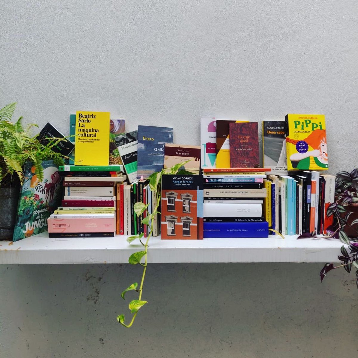 FundacionFilba's tweet photo. #8M  #9M
Estas son las escritoras mujeres que nos estuvieron acompañando a quienes formamos parte del equipo de @fundacionfilba. ¿Qué autoras te acompañan a vos? Contanos acá: https://t.co/QmY06BwEe2