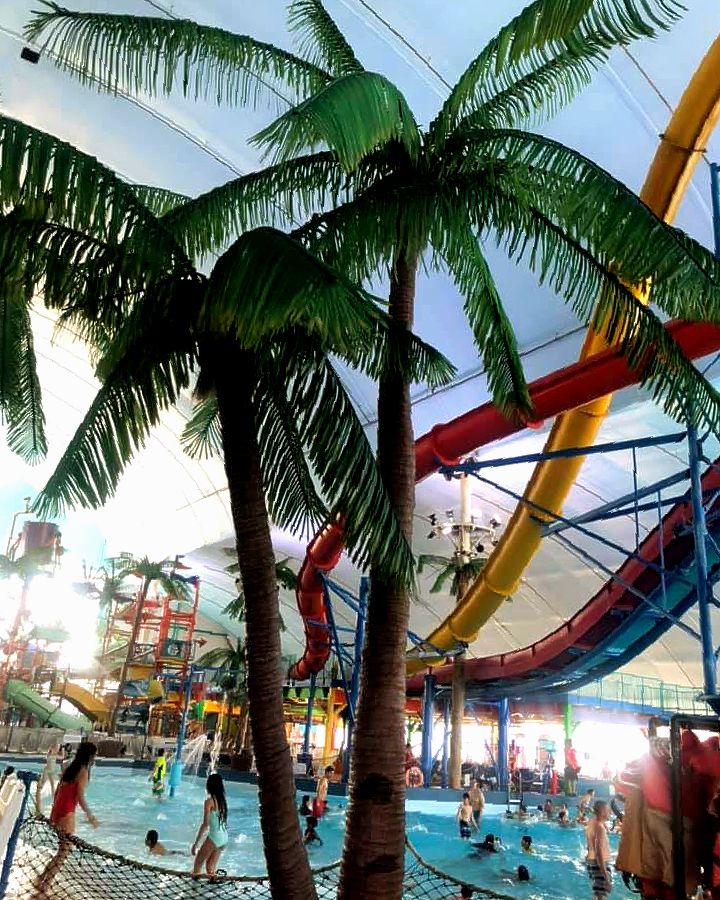 Your next vacation is waiting 🌴
.
#FallsAvenue #IndoorWaterpark
.
fallsviewwaterpark.com