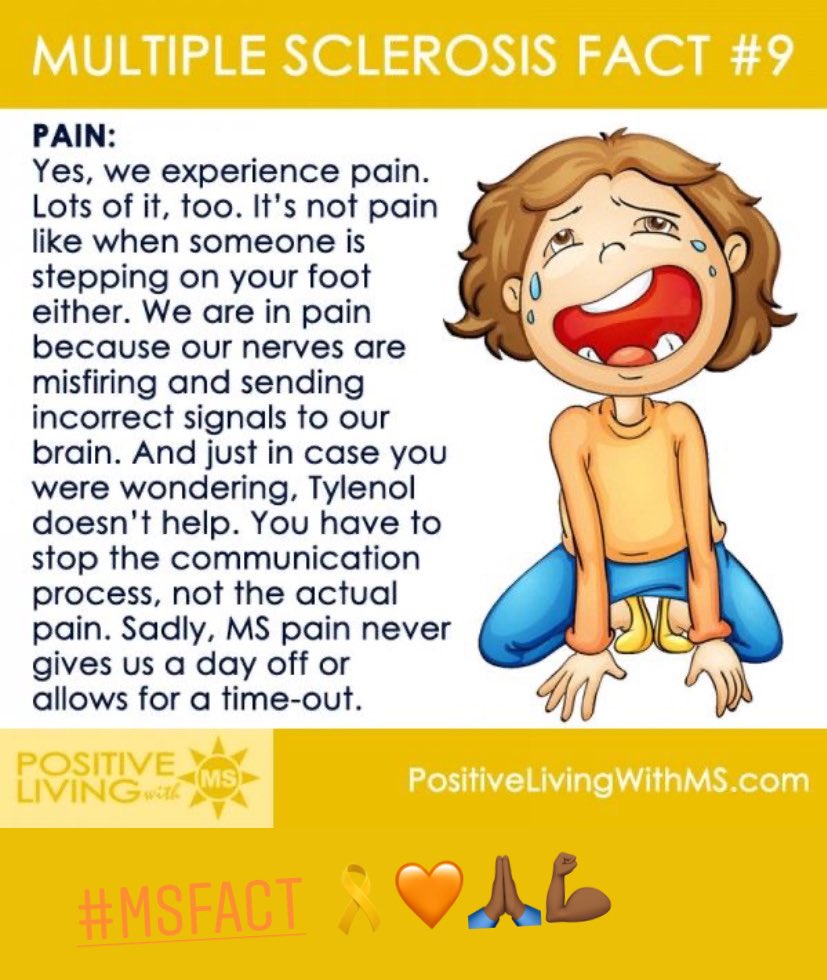 mswarrior03's tweet photo. MS AWARENESS🧡🎗#msfact https://t.co/XP92JanRjw