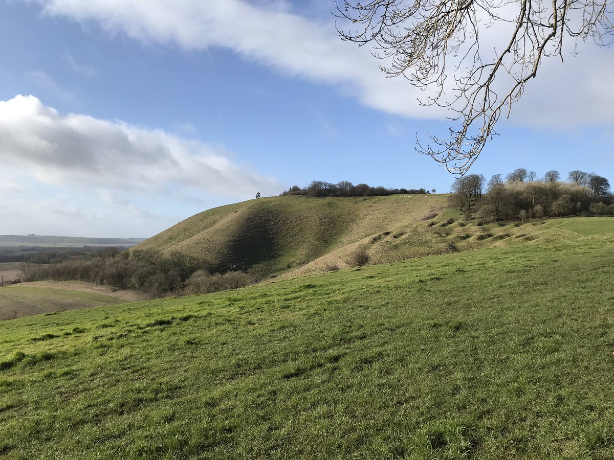 BedwynFootpaths's tweet photo. Want to stay away from crowds? Here’s a place! Walks to #MartinsellHill #MidWiltsWay & other peaceful walks on website @visitpewseyvale https://t.co/Cma4b8dbIp