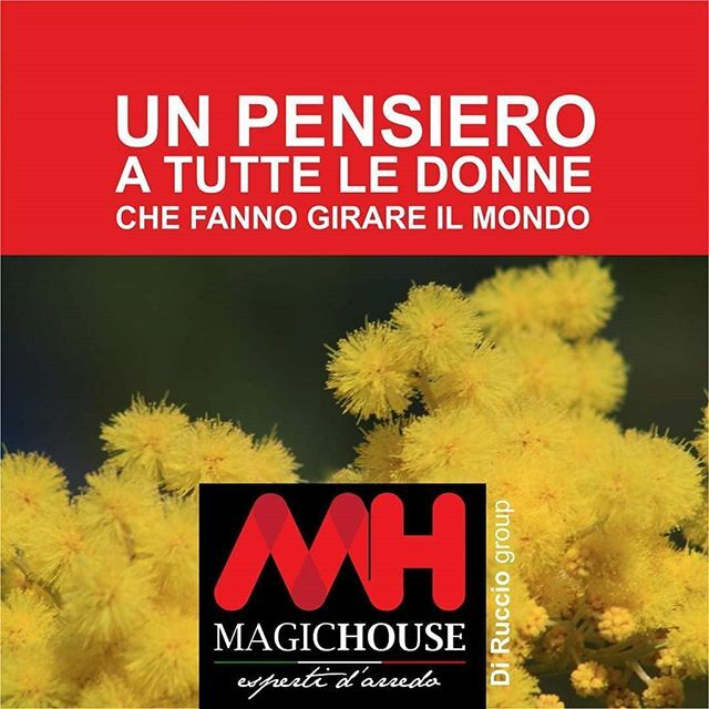 magichouseSA's tweet photo. Un sincero augurio a tutte le donne in questa giornata a loro dedicata 🌺 auguri per oggi, per domani...per sempre a voi donne che fate girare il mondo!

#festadelladonna #donna #women #womenday #salerno #magichouse https://t.co/0domREOmCD https://t.co/VClJsZ5IVO
