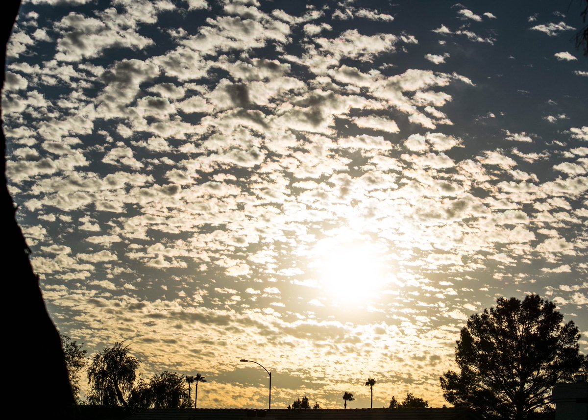 alaina_bates's tweet photo. This skyline though

#arizona #az #cbs5az #acb15 #beon12 #photography #skyline #sunset #glow #desert #nikonphotography https://t.co/LxAOSJX6xU
