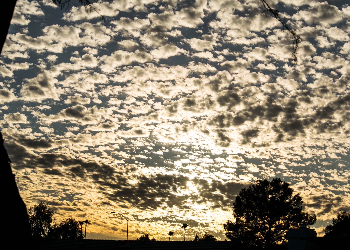 alaina_bates's tweet photo. This skyline though

#arizona #az #cbs5az #acb15 #beon12 #photography #skyline #sunset #glow #desert #nikonphotography https://t.co/LxAOSJX6xU