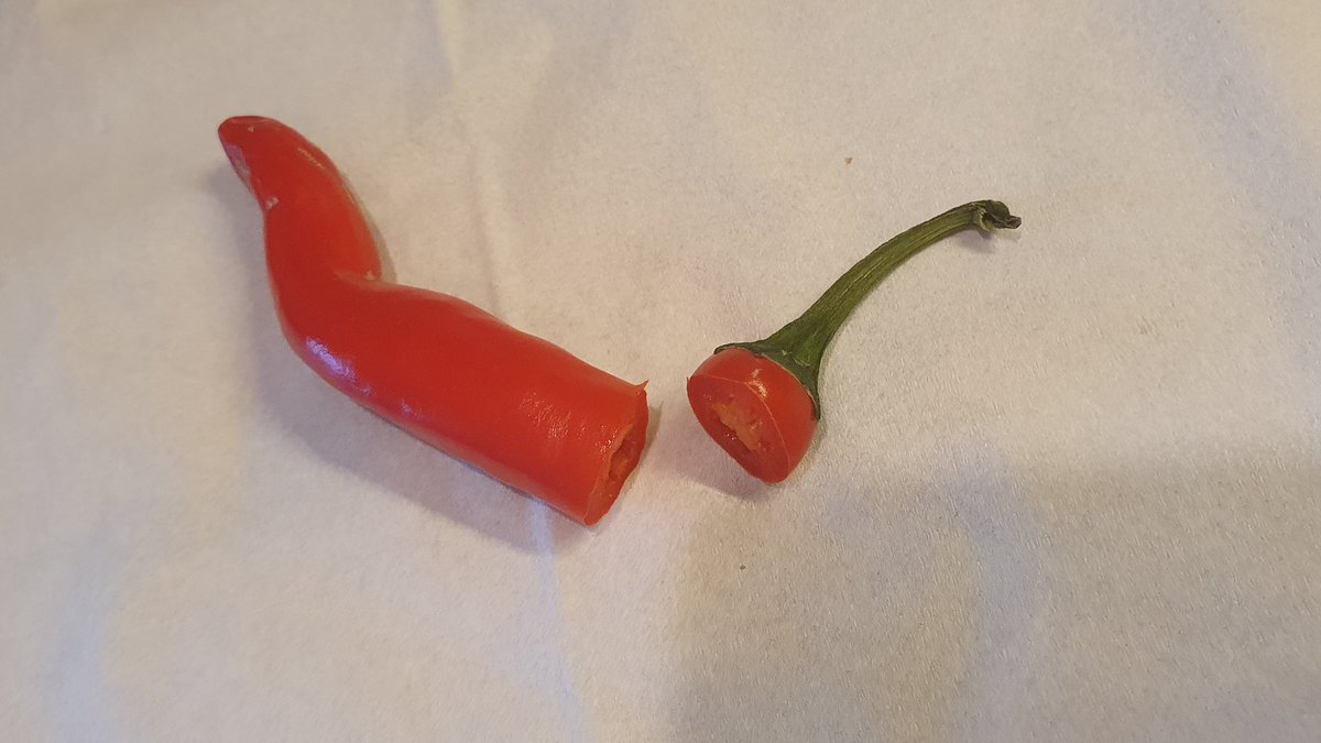 Science | Victory Heights Primary School tweet media