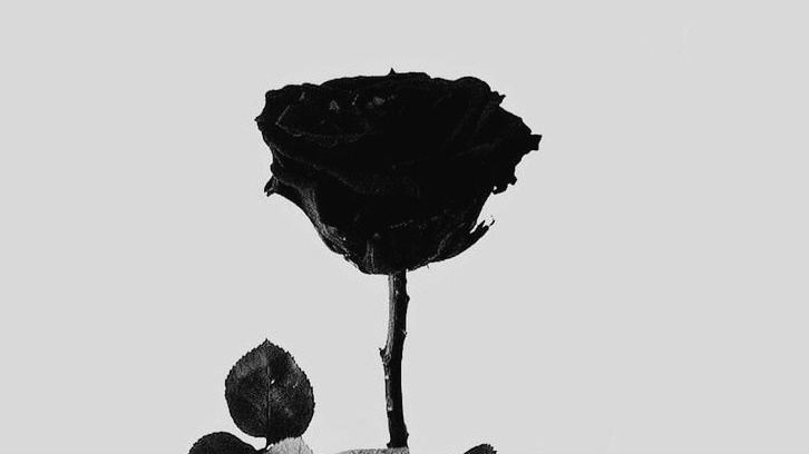WHaileyDarcy's tweet photo. ⠀⠀
      「  𝐀𝐋𝐈𝐂𝐈𝐀 𝐃𝐀𝐑𝐂𝐘 "𝐇𝐀𝐈𝐋𝐄𝐘"  」
            Maybe life should be about 
            more than
                                   𝑗𝑢𝑠𝑡 𝑠𝑢𝑟𝑣𝑖𝑣𝑖𝑛𝑔 

☘ 𝙾𝙱𝚂𝙲𝚄𝚁𝙸𝙰𝙻  
☘ 𝙶𝚁𝚈𝙵𝙵𝙸𝙽𝙳𝙾𝚁
☘ 𝙿𝚄𝚁𝙴 𝙱𝙻𝙾𝙾𝙳
☘ 𝙸𝚁𝙸𝚂𝙷 https://t.co/hENFZADeAc