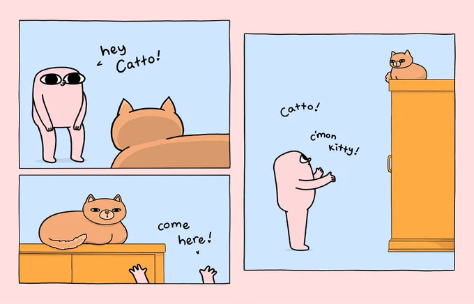 catto cheat code 