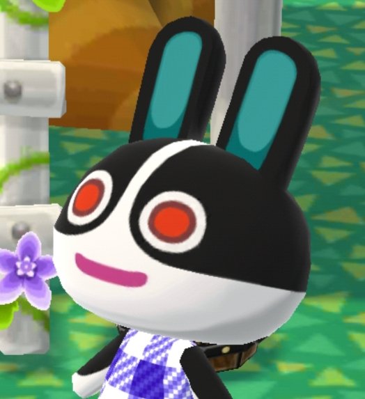 sintendhoe's tweet photo. This is literally why I keep Dotty at my camp https://t.co/NZWfHnHkvY