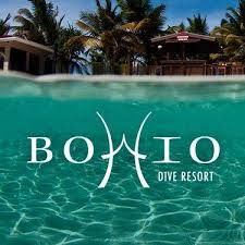 GroundhogDivers's tweet photo. Bohio Dive Resort, Grand Turk Nov. 21 - 28, 2020 https://t.co/cENoTLx9mP https://t.co/9l0ITHoy7p