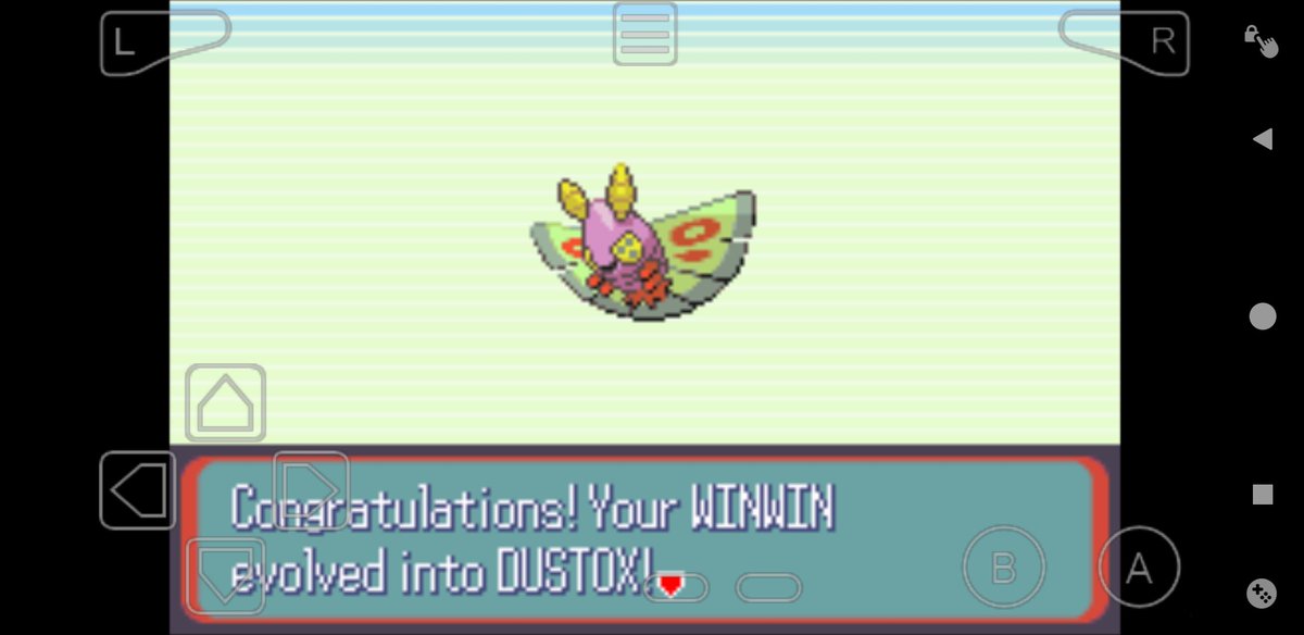 Say hello to Winwin the Dustox 