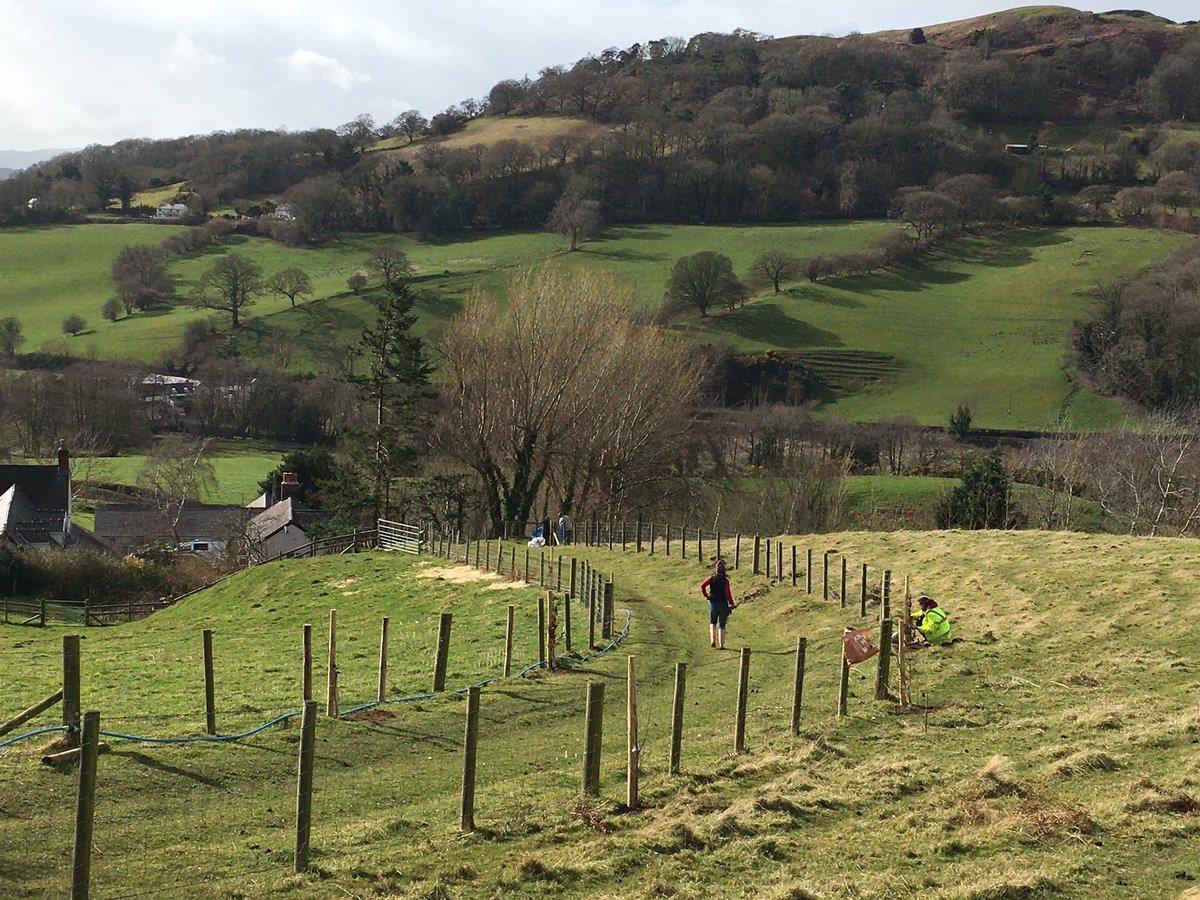 Elgan_Jones_'s tweet photo. An Insalls team outing planting oak trees in the vale of clwyd to offset the carbon footprint of the practice. Great effort by all especially for battling through the wind &amp; rain! @InsallArch @Heritagedecl @tonybaarton @PensaerGogCymru @fs_architecture @elinorg_w @Clwyd_Dee_AONB https://t.co/YidLRcRyIL