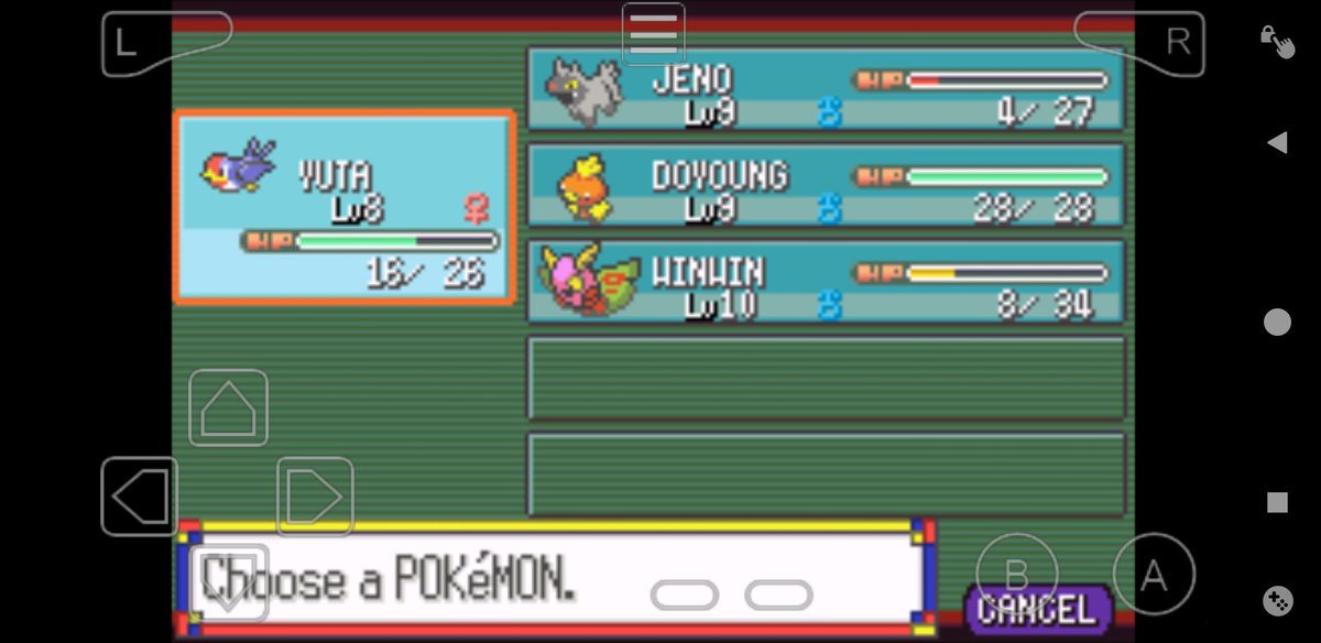My team now:Yuta the TaillowJeno the PoochyenaDoyoung the TorchicWinwin the Dustox