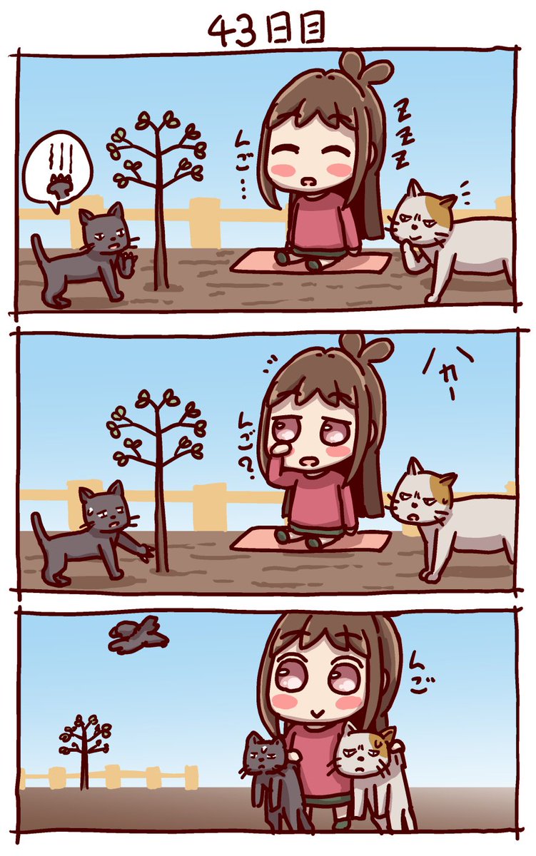 #100日後にりんごが実るあかりちゃん
43日目 
