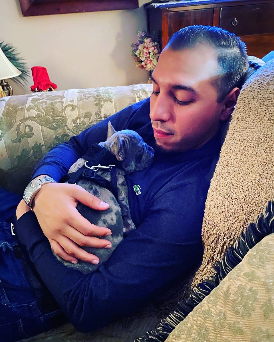 JustNtime92's tweet photo. Look at this cutie and not talking about me 🙃 #microfrenchie #cain #puppylove https://t.co/pUvBlyt8Uh