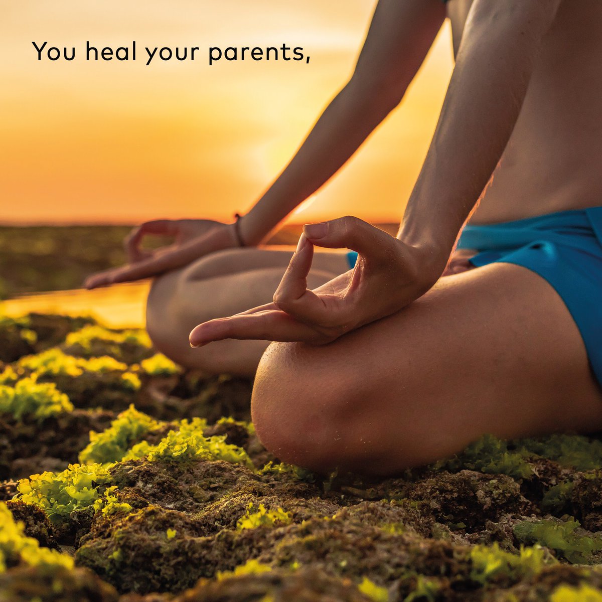 VedicHealing_'s tweet photo. Meditating provides a sense of clarity, and can allow you to release negativity. It is a great form of bonding for your friends and family and a truly enlightening experience to share with those you care about. At its core, it is about finding ways to improve your own life. #Om https://t.co/cwHdjWtMNg