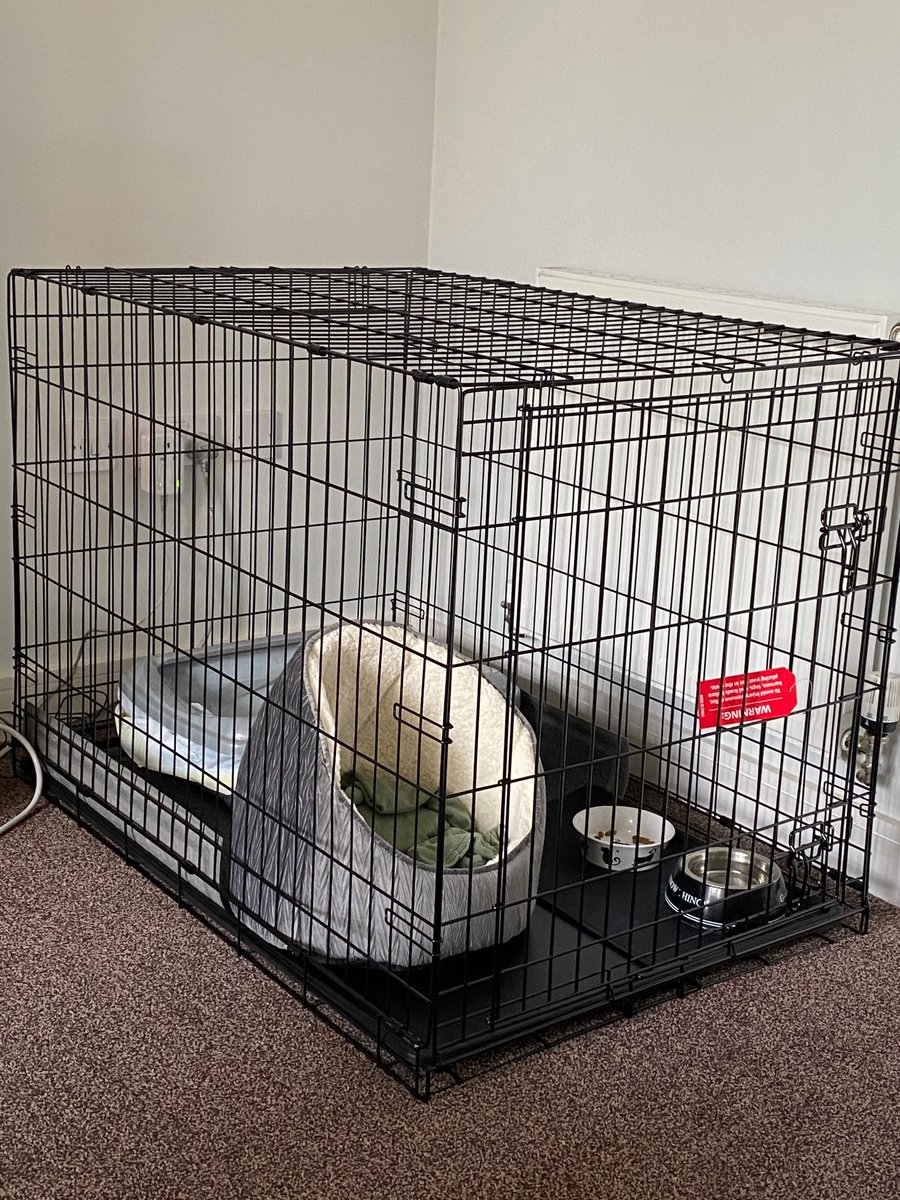 Parker_The_Cat's tweet photo. I donβt want to go #catprison #catsoftwitter https://t.co/MBsQYFN0QO