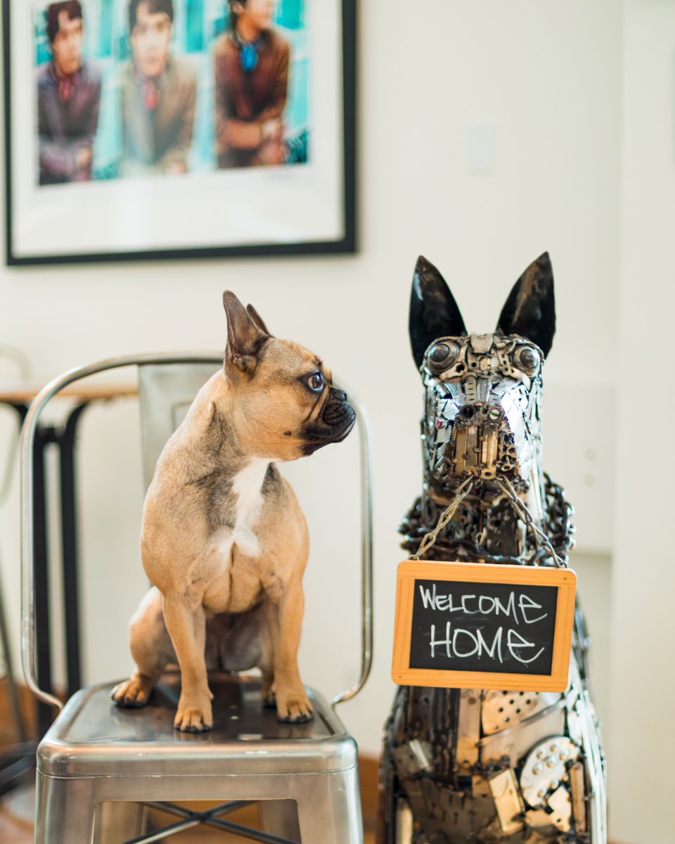 Hotel Zetta tweet media