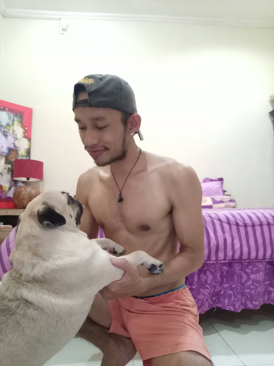 babangbliy's tweet photo. I love you nak.  😘
#dogs #lovedogs #doglovers #seminyak #Bali #Indonesia 
#bobali #bopadang #jogjaopenBO https://t.co/AToeVKE8QN