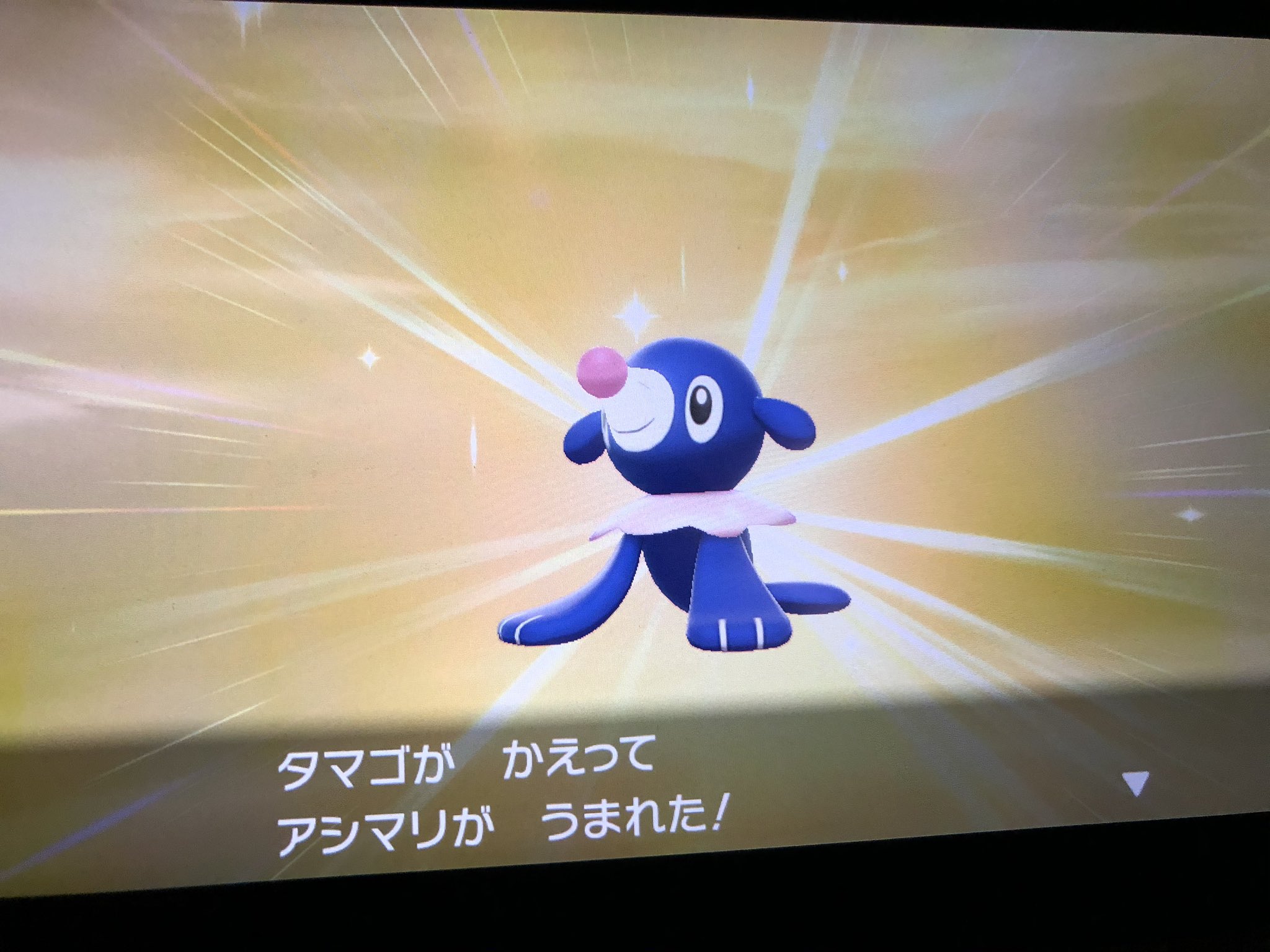 エトワール エルフーン使い Etoile Islander Twitter