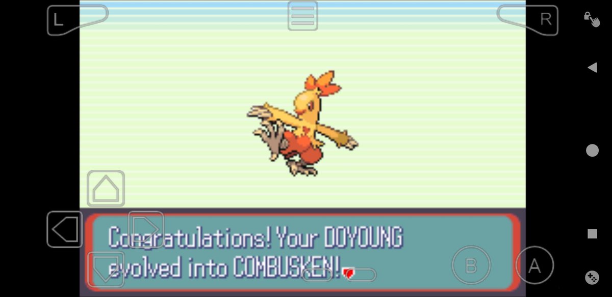And say hello to Doyoung the Combusken