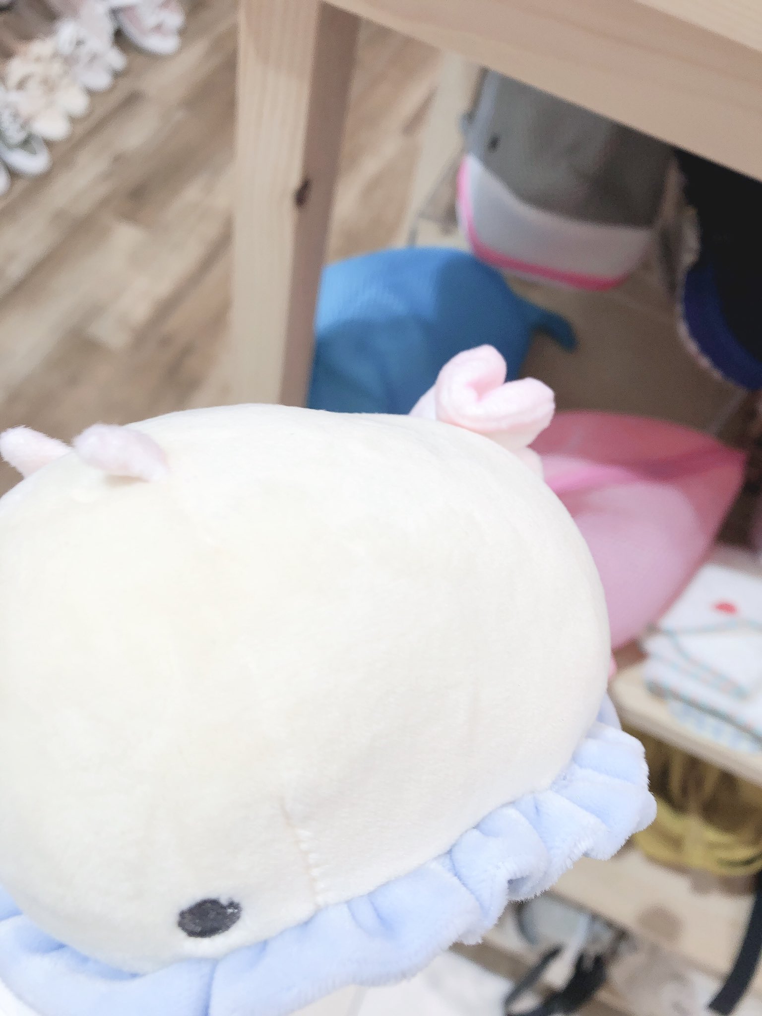 ルネ 今日かわいいぬいぐるみが売っててどうしようかすごく悩んでた ウミウシとかクラゲとかエイとかそのあたり エイに偽ものの目が付いてた T Co Npdaum166p Twitter