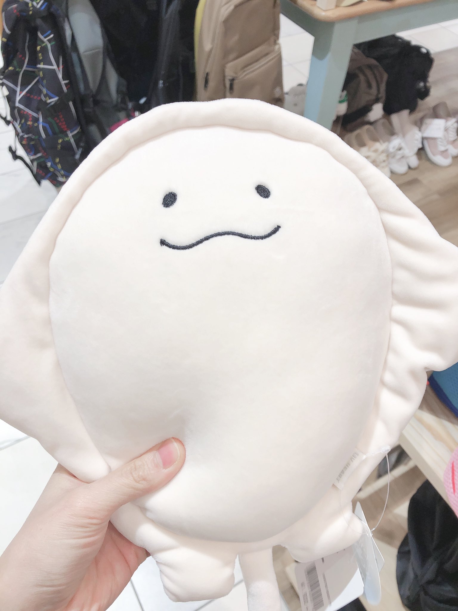ルネ 今日かわいいぬいぐるみが売っててどうしようかすごく悩んでた ウミウシとかクラゲとかエイとかそのあたり エイに偽ものの目が付いてた T Co Npdaum166p Twitter