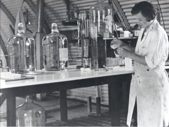 BioRadLifeSci's tweet photo. #InternationalWomensDay: Did you know one of Bio-Rad's founders was a brilliant woman scientist? Learn more about our company history: https://t.co/gNX6VIJiRK

 #WomenInScience #iwd #BioRadWomenInScience https://t.co/atUbsRbTh5
