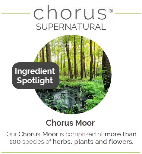 Chorus Supernatural tweet media