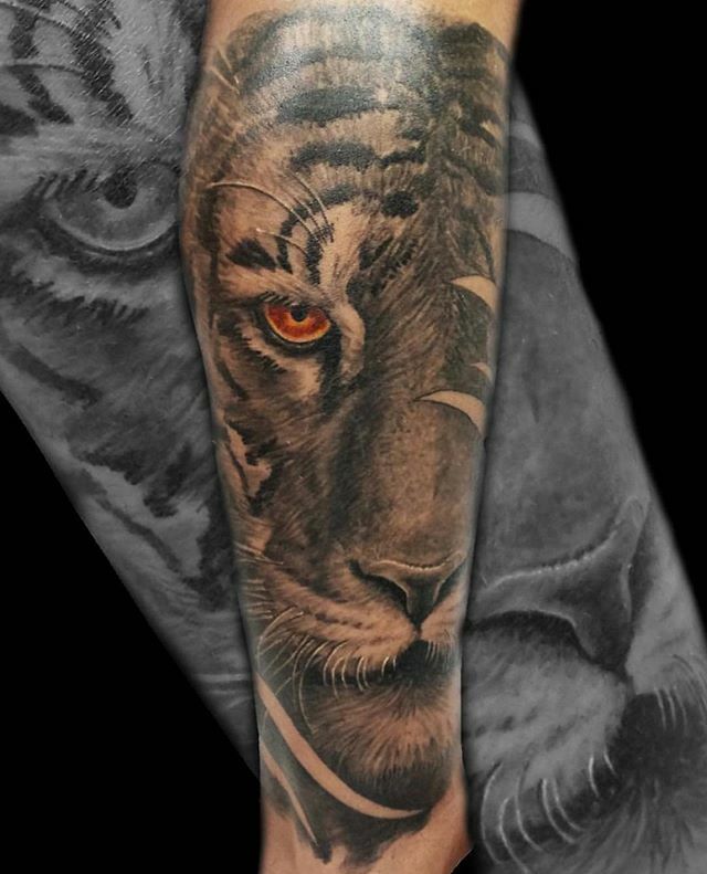 NHFTattoos's tweet photo. Healed tiger on the lower leg.  Done by @dylanmacleodtattoos here @nohardfeelingstattoo ~~~~
Stop by the shop to talk tattoos and piercings! Walk-ins are welcome, it’s first come first serve so get here quick!
~~~~
#nohardfeelingstattoo #nhftattoos #worldfamoustattooink #cor… https://t.co/0HZyLkSbRL