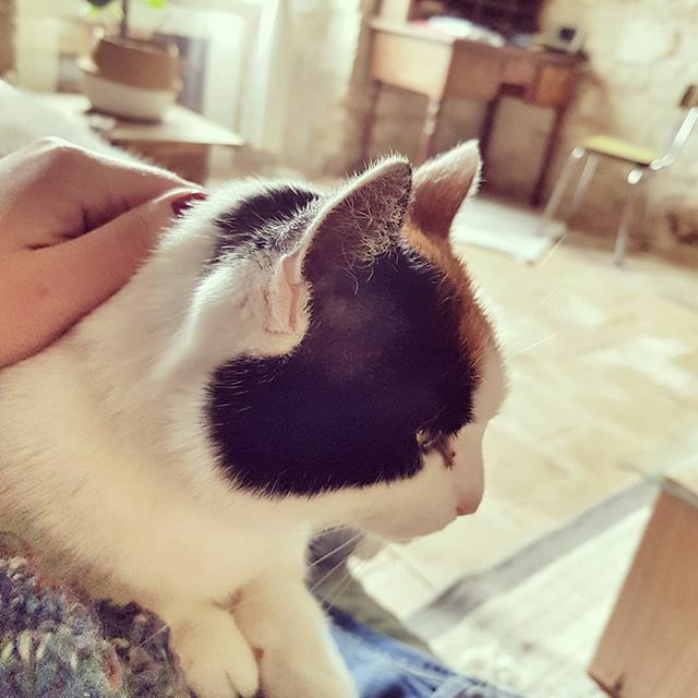 JDubrawska's tweet photo. Because often behind the happy multi-tasking woman there's another one...with a moustache ;) #pola #our12yearstogether #happysunday 
#couldnstopmyself https://t.co/6ipzxUzOcV https://t.co/BvTycFqUo4