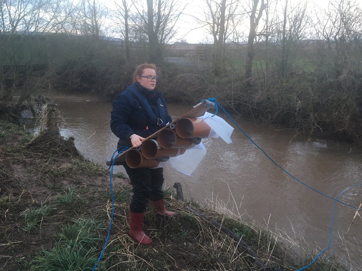 Stephloupoole's tweet photo. Another day spent surveying the #RiverCorve for #plastics in the river. Due to rain over night the river was higher and had more debris! Looking forward to labs tomorrow. Let’s see what I find! #riverplastic #WomenInSTEM @HarperAdamsUni @SWLecLC #HRP #WomenInScience https://t.co/5tsa0bkcoa