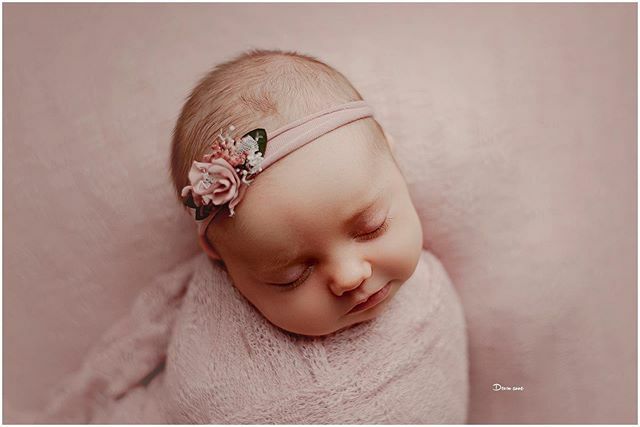 DevonAnnePhoto's tweet photo. After three wild boys, this momma can have all the pink she wants for her sweet baby GIRL!! Welcome to the world gorgeous happy little Caroline <3

#freshiefriday #newbornphotographer #newbornphotos #swaddled #prettyinpink #itsagirl #threeboysandagirl #d… https://t.co/Fu1OC0vk45 https://t.co/At9r7f4aFV