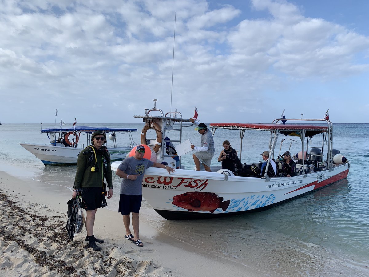 Diff_Lance's tweet photo. Diving Cozumel- Living Underwate - off the Jew Fish https://t.co/U4n44TC856