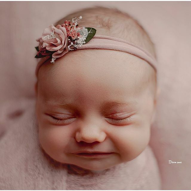 DevonAnnePhoto's tweet photo. After three wild boys, this momma can have all the pink she wants for her sweet baby GIRL!! Welcome to the world gorgeous happy little Caroline <3

#freshiefriday #newbornphotographer #newbornphotos #swaddled #prettyinpink #itsagirl #threeboysandagirl #devonannephotography #… https://t.co/F4yub3f6ja