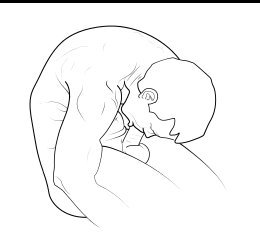 <a href="/nocontextgallos/">Out of Context Gallos</a>