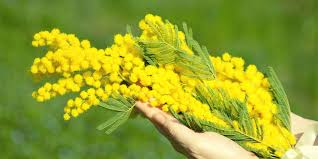 It's #InternationalWomensDay, and since our #AR #VR communities are full of wonderful women, let's stop for a moment to thank them and let them feel our love!

Tag some women from our industry and share! I start with <a href="/SuzanneBorders/">Suzie B 🔮🤖 #datawhisperer</a> <a href="/TheHappyLass/">Suzanne Reid</a> <a href="/TheMalia/">Malia Probst</a> @jeriellsworth