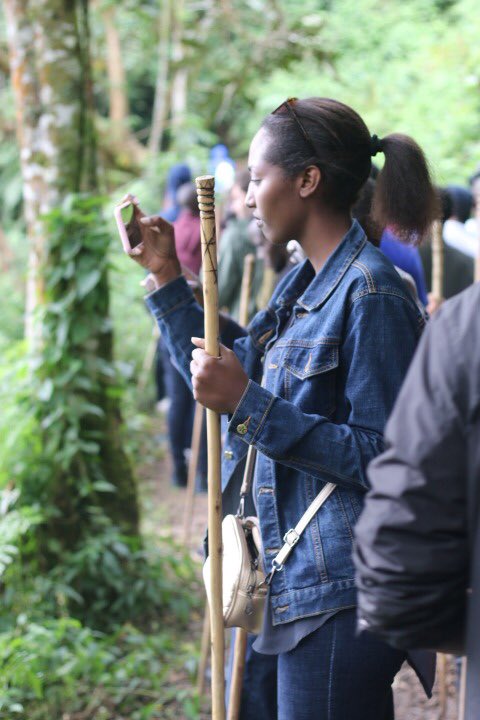 isimbi_edwige's tweet photo. Nyungwe Canopy; the 70m high suspension bridge is the perfect vantage point to experience #Rwanda 's beauty, allowing visitors to observe the beautiful view of the huge Nyungwe Forest, monkeys moving around, birds flying all around and beautiful views of hills.
 #VisitRwanda

2/2 https://t.co/FohW3B06II