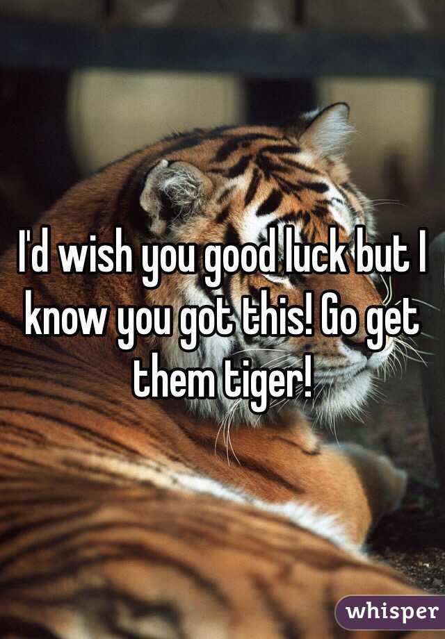 Danielle Stevens tweet media